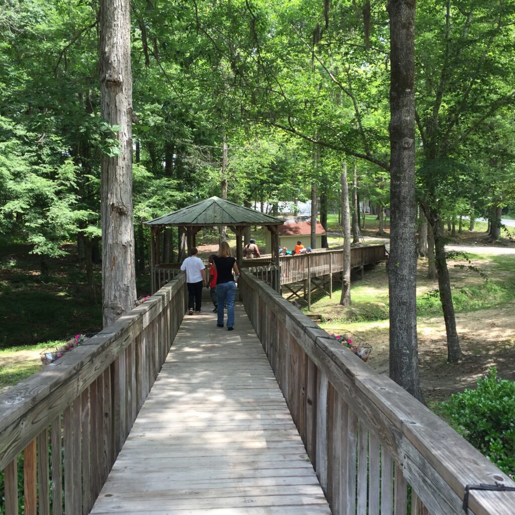 Wooden walkway bridge