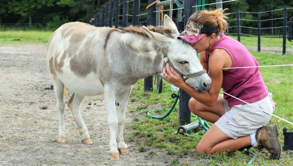 Woman kissing a donkey